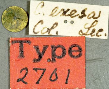 Media type: image;   Entomology 2701 Aspect: labels